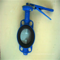 OEM Precision Investment Casting Flange Butterfly Valve Handles